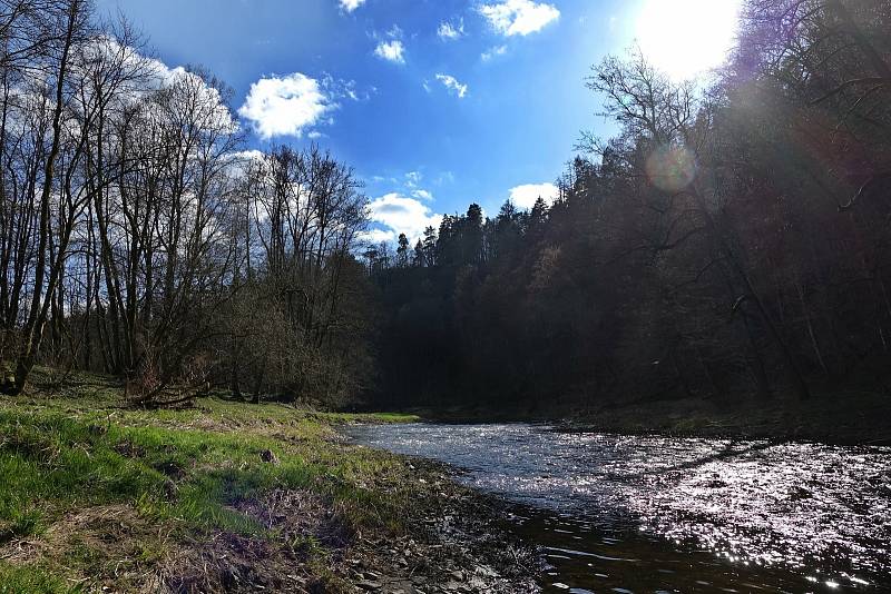 Procházka proti proudu Dyje nad Vranovem.