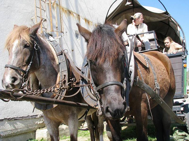 Festival otevřených sklepů na Znojemsku.