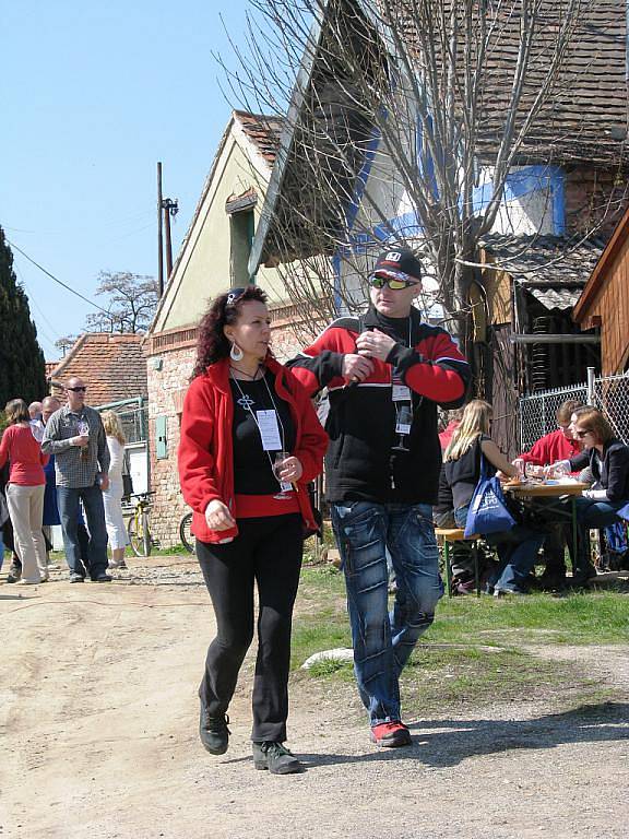 Festival otevřených sklepů na Znojemsku.