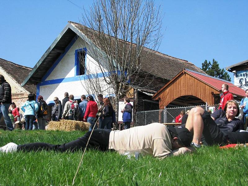 Festival otevřených sklepů na Znojemsku.