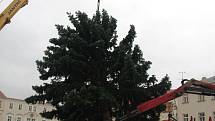 Dvanáctimetrový střibný smrk ze Slatiny stojí od čtvrtečního poledne na znojemském Horním náměstí. Nyní jej řemeslníci nazdobí a rozvěsí na něm šestatřicet tisíc světélek. Strom rozsvítí děti při zahájení adventu poslední den v listopadu.