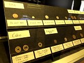 Výstava mincí je rájem pro všechny numismatiky.