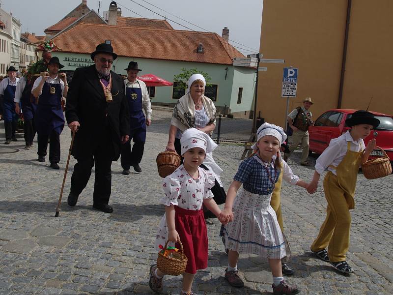 Spolek přátel hroznové kozy uspořádal v sobotu již tradiční akci pro veřejnost nazvanou Vynášení hroznového kozla do vinohradu. Průvod vyšel ze Znojma a kolem vinohradů zamířil do Popic a Konic.