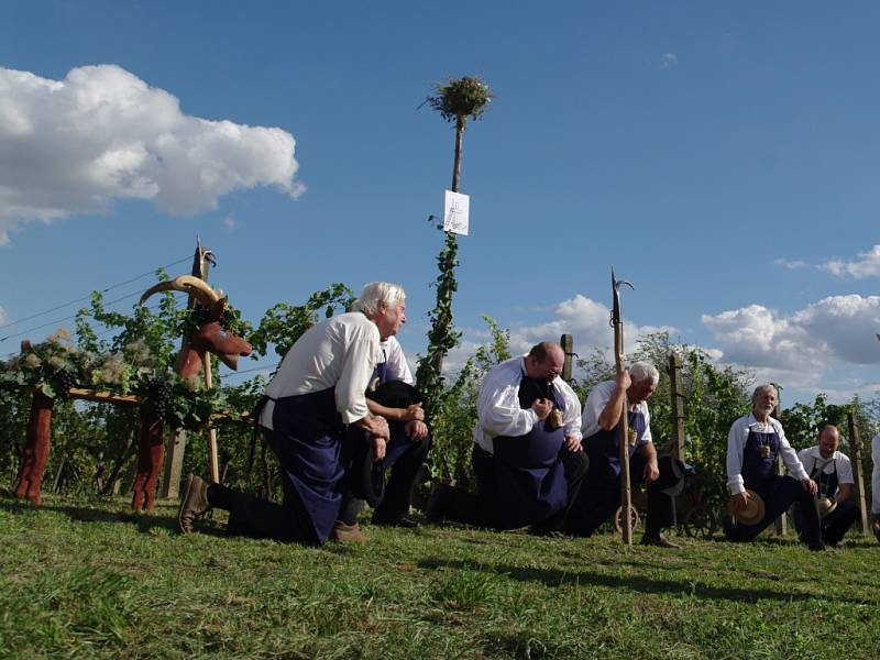 Strážci vinic uzavřeli vinohrady pro všechny kolemjdoucí až do skončení sklizně hroznů.