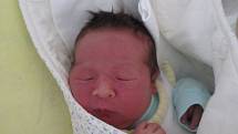 Tomáš Papoušek, 21. 5., 51 cm, 3650 g, Znojmo.