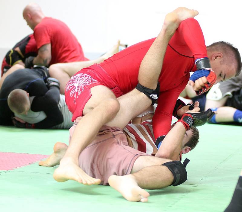 Znojemský oddíl Valetudo RK Znojmo uspořádal soustředění borců, kteří se zajímají o sport nazývaný zkratkou MMA. Je složena z anglického Mixed Martial Arts, což v překladu znamená smíšená bojová umění. 