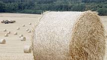 Z polí nad Hlubokými Mašůvkami odváželi zemědělci o posledním červencovém úterku balíky slámy na uskladnění.