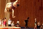 Znojmo poprvé pořádalo mistrovství republiky dívek a žen ve sportovní gymnastice ve výkonnostních stupních. Nella Antonella Smejkal na přeskoku.
