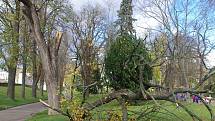 Nedělní vichr poničil ve Znojmě několik stromů v městských parcích a v Gránickém údolí.