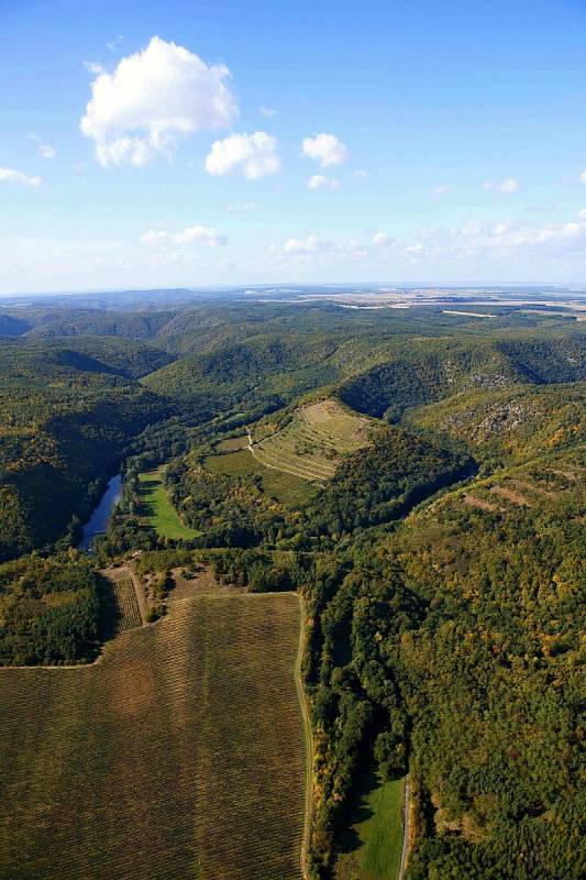 Známá vinice Šobes.