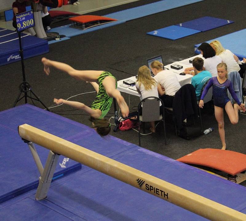 Tři víkendy, tři vrcholné závody. Červen byl v Třinci  ve znamení sportovní gymnastiky a na mistrovství republiky se neztratili ani znojemští závodníci. 