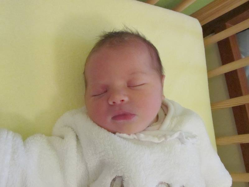 Amálie Hodaňová, 15. 11., 49 cm, 3460 g, Břežany