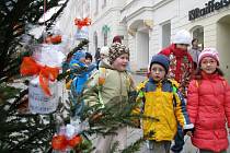 Čtyřiadvacet ozdobených vánočních stromečků krášlí od pátku Obrokovou ulici ve Znojmě. Stromky nechala radnice nainstalovat na hlavní pěší zónu bez ozdob. 