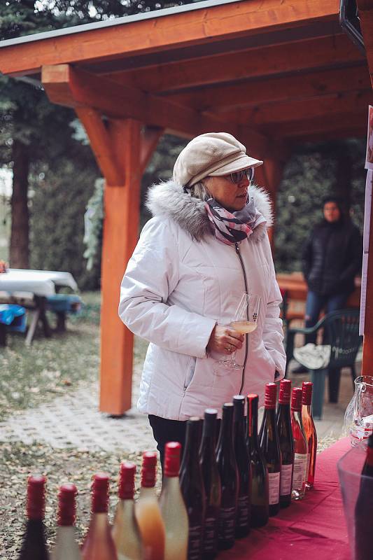 Již šestý ročník Koštování mladých vín lákal v sobotu zájemce do Chvalovic na Znojemsku.