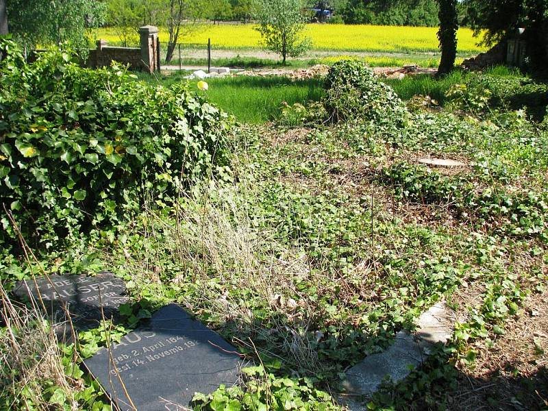 Na opravu zřícené zdi židovského hřbitova nedá znojemská radnice ani korunu. Židovská obec naopak získala státní dotaci na vyčištění hřbitova a parkové úpravy.