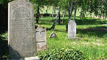 Na opravu zřícené zdi židovského hřbitova nedá znojemská radnice ani korunu. Židovská obec naopak získala státní dotaci na vyčištění hřbitova a parkové úpravy.