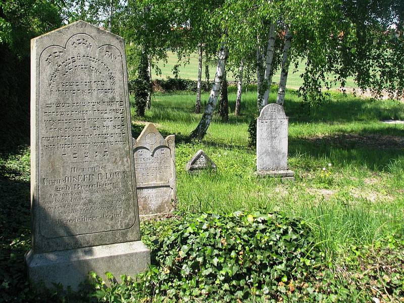 Na opravu zřícené zdi židovského hřbitova nedá znojemská radnice ani korunu. Židovská obec naopak získala státní dotaci na vyčištění hřbitova a parkové úpravy.