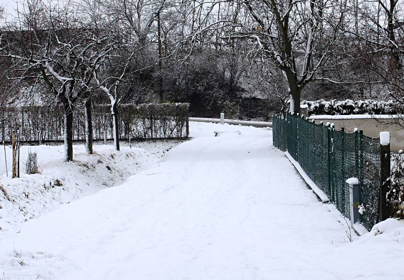 Poslední listopadovou neděli pokryla Trstěnice na Znojemsku sněhová peřina. Bohužel, vzhledem k teplotám nad nulovou, dlouho radost dětem nedělala.