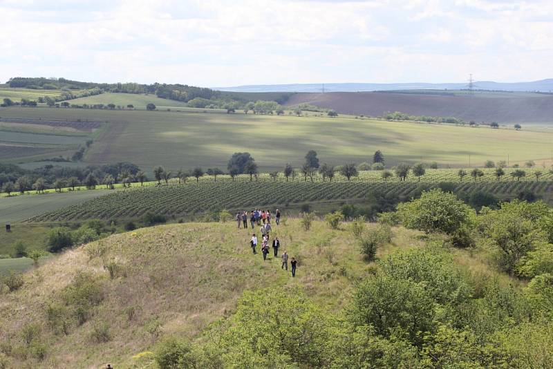 Nově zrekonstruovanou turistickou atrakci nabízí letos milovníkům vína a krásných výhledů do krajiny společnost Lahofer. Lidé mohou navštívit romantický hrádek Lampelberg, který nabízí od začátku června do poloviny září degustaci vína. 