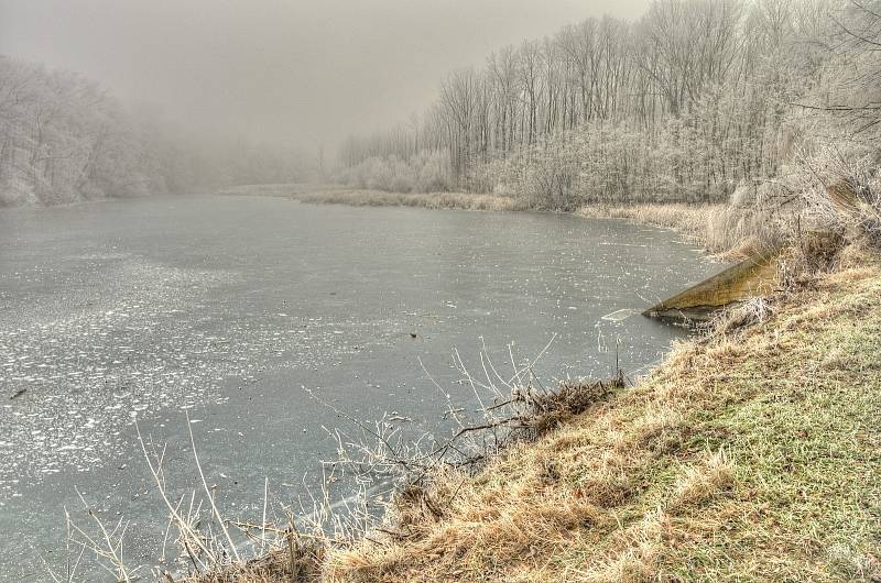 Zimní procházka  přírodní rezervací Karlov a Údolím lásky.