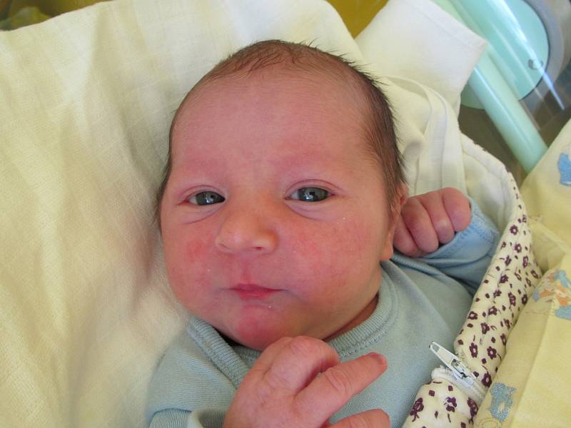 Dominik Hájek, 11.1., 52 cm, 3940 g, Prosiměřice