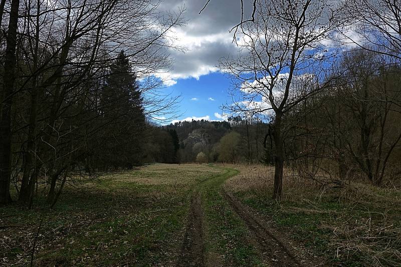 Procházka proti proudu Dyje nad Vranovem.