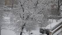 Sníh zasypal ve čtvrtek ráno Znojmo. Na snímku pohled na Dolní park.