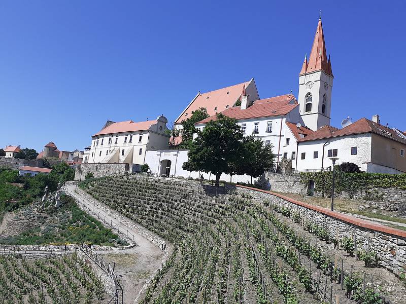 Degustační stánek v Rajské vinice ve Znojmě  první červnový víkend. V červnu je otevřeno od jedenácti do sedmi hodin, o prázdninách pak do osmi.