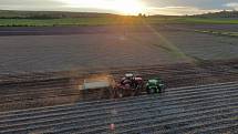 Sklizeň cibule na farmě Zdeňka Šebesty v Dolních Dunajovicích na Břeclavsku začala o tři týdny později. Kvůli vytrvalým dešťům a mokré půdě.