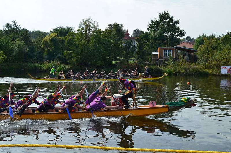 Okolí řeky Dyje ve Znojmě u Louckého kláštera žilo festivalem dračích lodí.