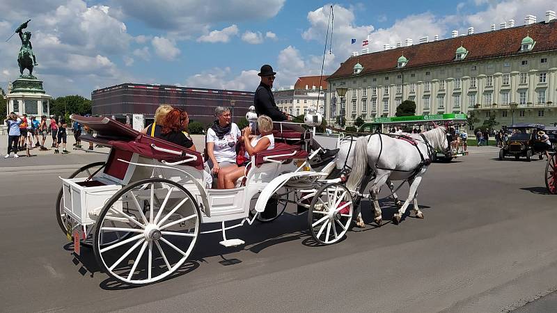 Z letního výletu do Vídně. Bryčka v Heldenplatz v Hofburgu.