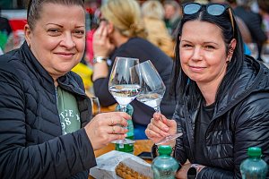 Festival vín VOC Znojmo přilákal roku 2022 přes čtrnáct tisíc lidí z celé republiky. Snímky z minulých ročníků.