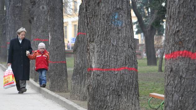 Vandal označil stromy v městských parcích