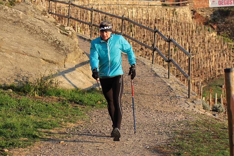 Chodec Janek Vajčner chtěl podpořit znojemskou nemocnici. Během soboty nachodil ve znojemských Karolininých sadech bezmála 60 kilometrů.