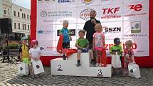 Čtyřiadvacátého ročníku Velké ceny města Znojma se zúčastnilo celkem 110 jezdců.