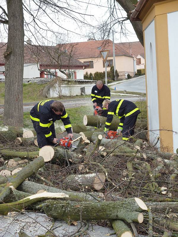 Ve Vevčicích u Jevišovic odstraňovali hasiči strom spadený na kapličku.