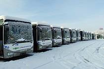 V neděli vyjedou poprvé vozit cestující na Břeclavsku a Mikulovsku. Dvacet nových autobusů znojemské společnosti Psota.