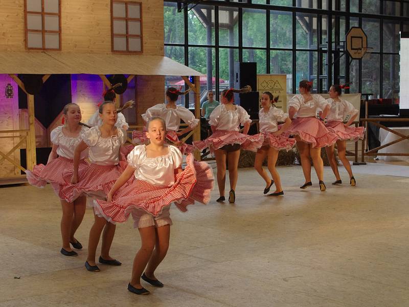 Country tance i stepařská vystoupení ovládla při mistrovství republiky parket, ve který se proměnila palubovka znojemské sportovní haly.