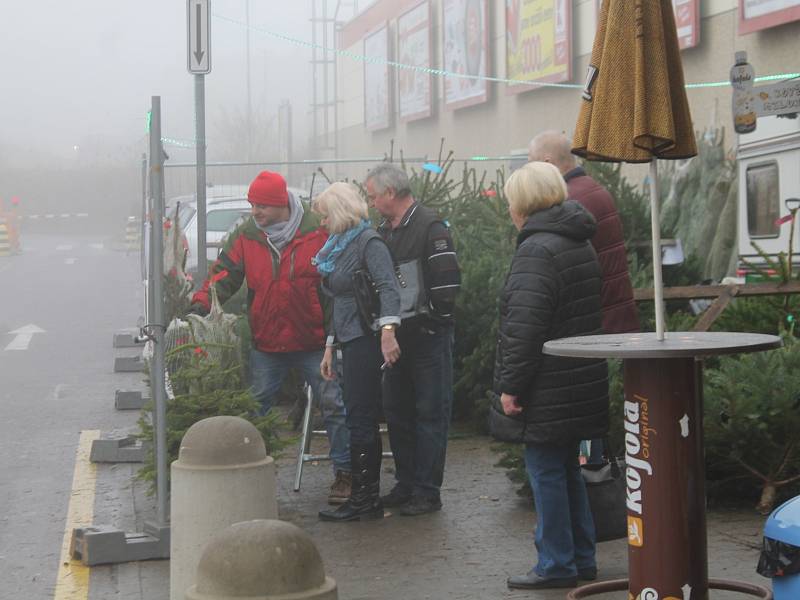 Prodej vánočních stromků ve Znojmě začal.