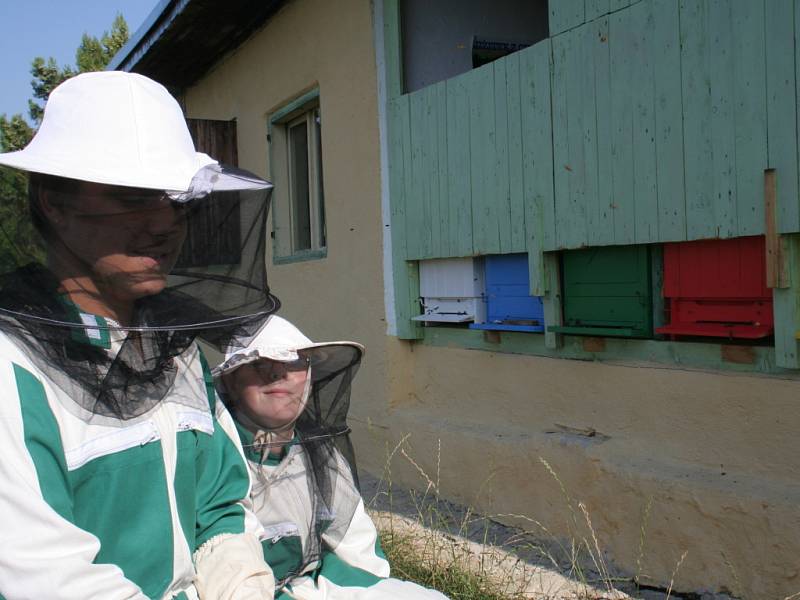 V Mikulovicích otevřeli včelí stezku