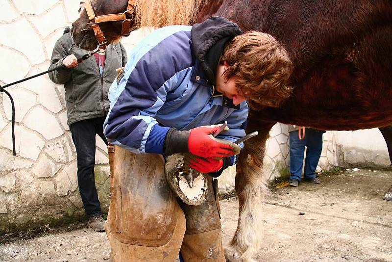 Na Jižní Moravě vyučuje obor podkovář a zemědělský kovář pouze střední škola v Moravském Krumlově. Ani tam se ale loni v září nepovedlo otevřít první ročník.