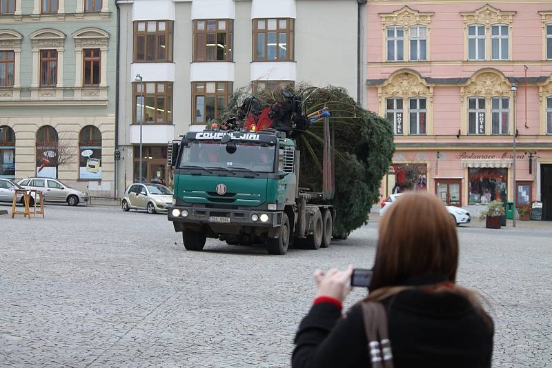 Čtrnáctimetrová jedle z lesa u Ctidružic stojí na Horním náměstí ve Znojmě. 1. listopadu se slavnostně rozsvítí pro dokreslení vánoční atmosféry.