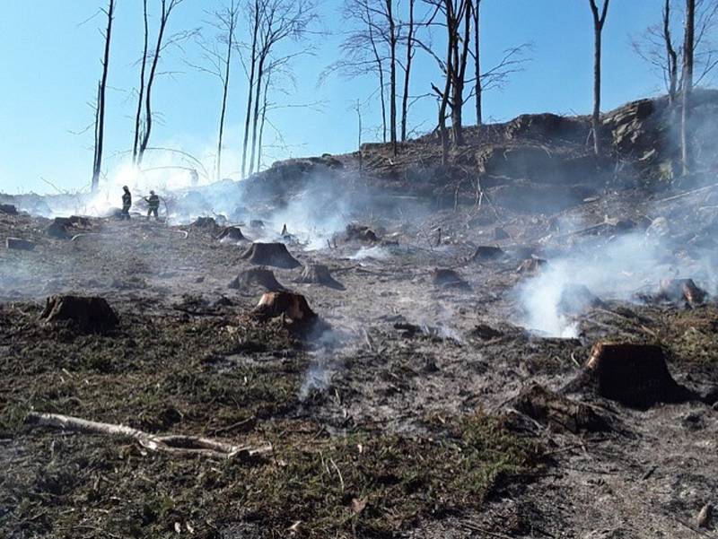 Požár zbytků lesa u Tasovic a jeho hašení.