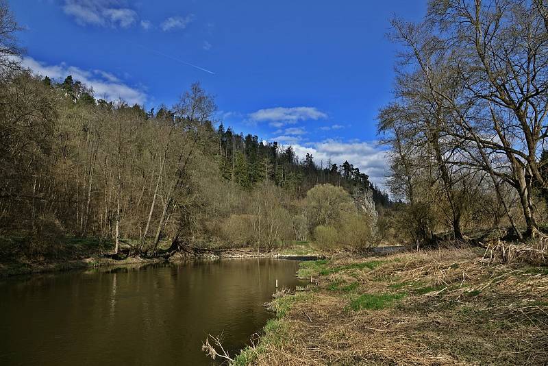 Procházka proti proudu Dyje nad Vranovem.