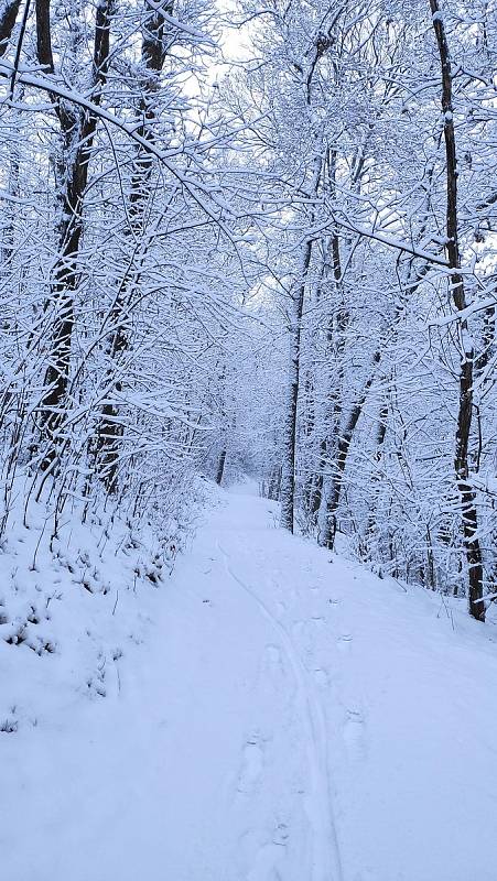 Ze sněhové nadílky v Moravském Krumlově 9. prosince.
