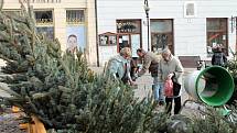 V ulicích Znojma se naplno rozjel prodej vánočních stromků. Prodejní ceny za jednotlivé druhy se oproti loňsku nijak nezměnily. Jedle je tradičně nejdražší, borovice a smrk jsou oproti ní výrazně levnější.