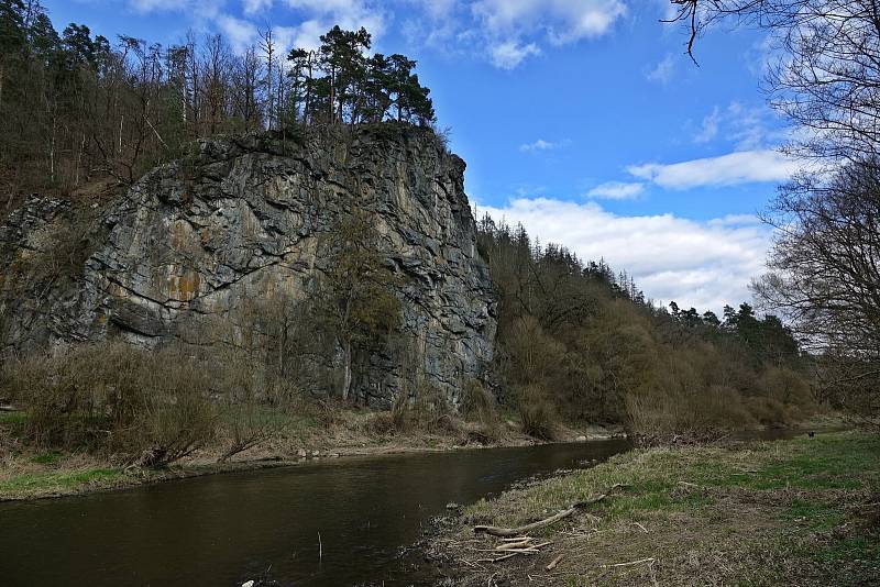 Procházka proti proudu Dyje nad Vranovem.