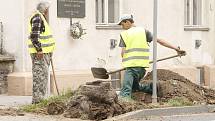 Pracovníci Městské zeleně Znojmo měli první prázdninové pondělí plno práce. Dvojice mužů pokračovala v Jarošově ulici v dobývání pařezů, zatímco jejich kolegyně zalévala květiny v truhlících na mostě přes železnici na výpadovce směrem na Jihlavu.