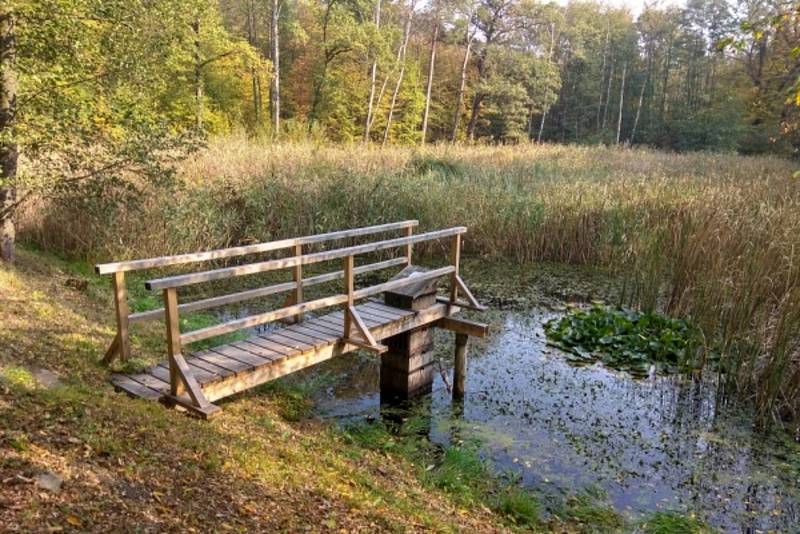 Nový leták přibližuje rybníky v Národním parku Podyjí.