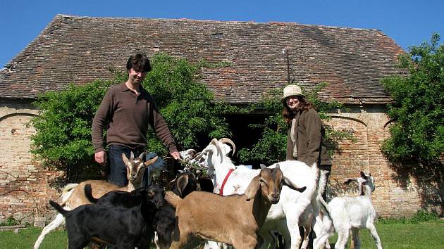 Petr Kosmák s manželkou chová kozy a ovce. Jeho stádo mohou lidé vidět na Kraví hoře u Znojma. Kosmák k farmaření utekl od exotických zvířat. 